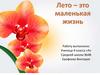 Лето - это маленькая жизнь