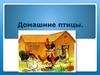Домашние птицы