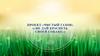 Проект «Чистый газон» («Не дай краснеть своей собаке»)