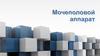 Мочеполовой аппарат