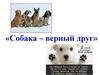 Собака- верный друг