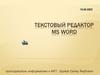 Текстовый редактор MS WORD