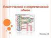 Пластический и энергетический обмен