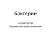 Бактерии. Строение бактерий. Формы клеток бактерий