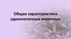 Общая характеристика одноклеточных животных