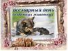 День защиты бездомных животных