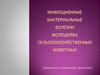 Сальмонеллез, колибактериоз, диплококкоз сельскохозяйственных животных