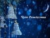 Чудо Рождества