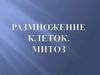 Размножение клеток. Митоз