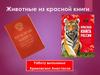 Животные из красной книги