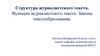 Структура журналистского текста. Функции журналистского текста. Законы текстообразования