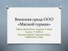 Внешняя среда ООО «Мясной гурман»