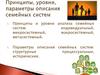 Принципы, уровни, параметры описания семейных систем