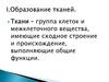 Образование тканей