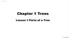 Chapter 1. Trees Lesson 1. Parts of a Tree