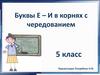 Буквы Е–И в корнях с чередованием