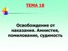 Освобождение от наказания. Амнистия, помилование, судимость