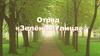 Отряд "Зеленая улица"