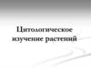 Цитологическое изучение растений