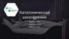 Кататоническая шизофрения