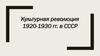 Культурная революция 1920-1930 гг. в СССР