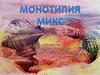Монотопия микс. Классификации