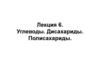 Углеводы. Дисахариды. Полисахариды. Лекция 6