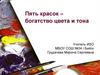 Пять красок – богатство цвета и тона
