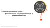 Основные направления аудита: финансовый, государственный и управленческий