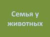 Семья у животных