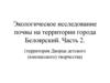 Экологическое исследование почвы на территории города Белоярский  (часть 2)