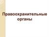 Правоохранительные органы