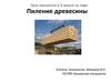 Пиление древесины. Урок технологии в 5 классе