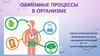 Обменные процессы в организме