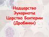 Надцарство Эукариоты Царство Бактерии (Дробянки)