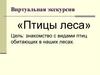 Лесные птицы
