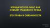 Юридическое лицо как субъект трудового права. Его права и обязанности