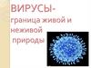 Вирусы- граница живой и неживой природы