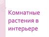 Комнатные растения в интерьере
