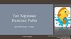 Тип Хордовые. Надкласс Рыбы, 7 класс