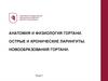 Анатомия и физиология гортани. Острые и хронические ларингиты. Новообразования гортани