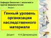 Генный уровень организации наследственного материала