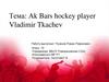 Ak Bars hockey player Vladimir Tkachev