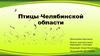 Птицы Челябинской области