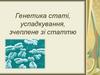 Генетика статі, успадкування, зчеплене зі статтю
