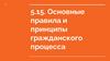Основные правила и принципы гражданского процесса