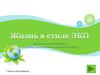 Экологическая викторина. Жизнь в стиле ЭКО