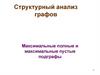 Структурный анализ графов. Максимальные полные и максимальные пустые подграфы