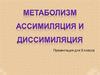 Метаболизм. Ассимиляция и диссимиляция