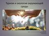 Туризм и экология окружающей среды